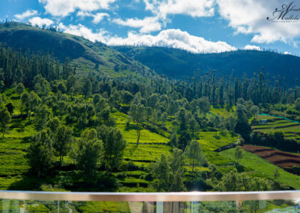 Exploring Coonor’s Enchanting Charms in May: Hills, Valleys, and More